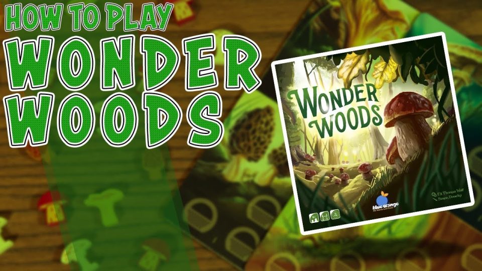 wonder woods review